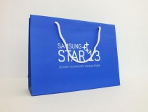 SamsungStar13
